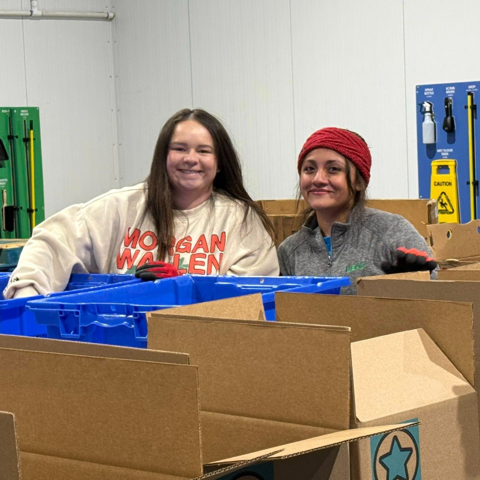 Initial scoping and planning