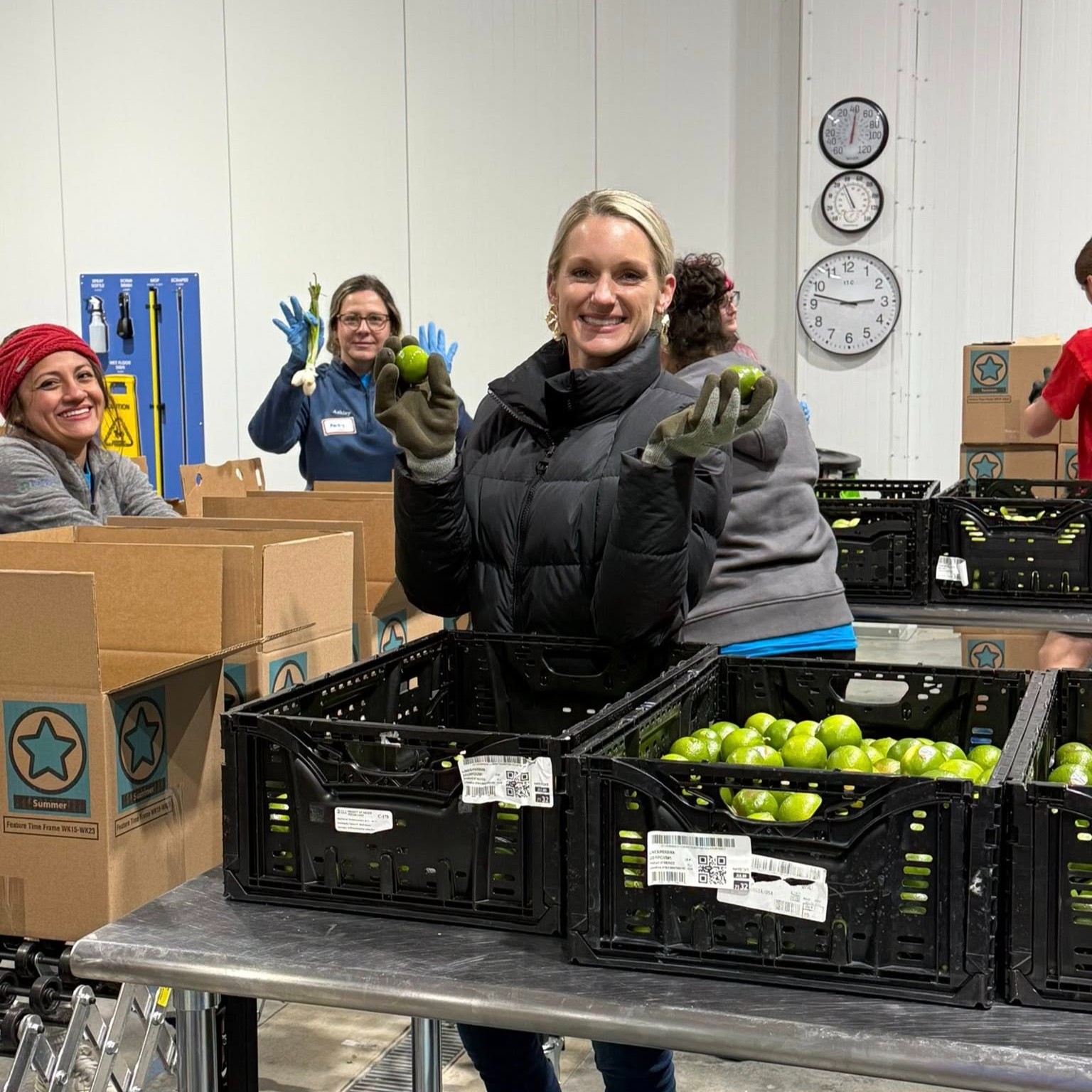 Staff and contractors at work